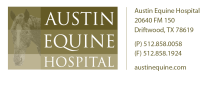 AE Logo