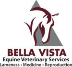 BellaVista_OEPS_logo