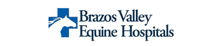 Brazos Transparent Background Logo