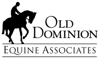DELogo