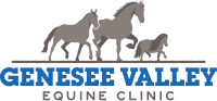 Genesee Valley Equine Clinic