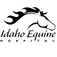 Idaho Equine