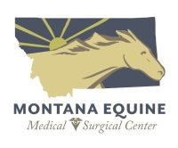 Montana_Equine_Medical_Surgical