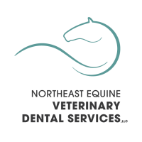 Northeast Equine Vet Dental Services