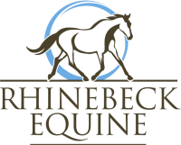 Rhinebeck Equine