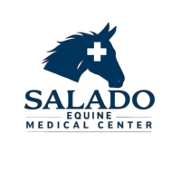 Salado_Equine_Medical_Center