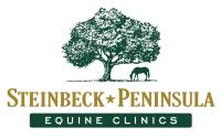 Steinbeck Equine (Avanti CA)