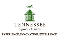Tennessee Equine