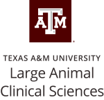 Texas_AM_Large_Animal_Clinical_Sciences