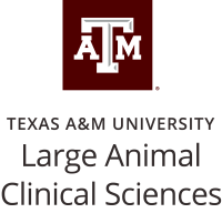 Texas_AM_Large_Animal_Clinical_Sciences