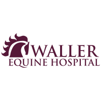 Waller Equine Logo
